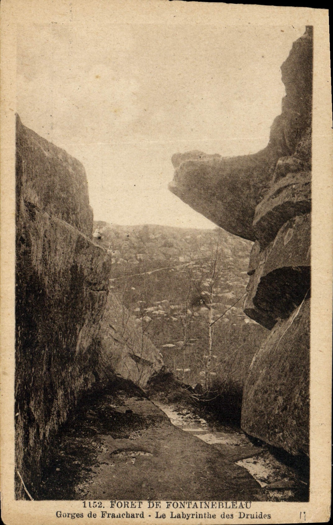 Antike Ansichtskarte Wald von Fontainebleau Gorges de Franchard Der Labyrinth der Druiden
