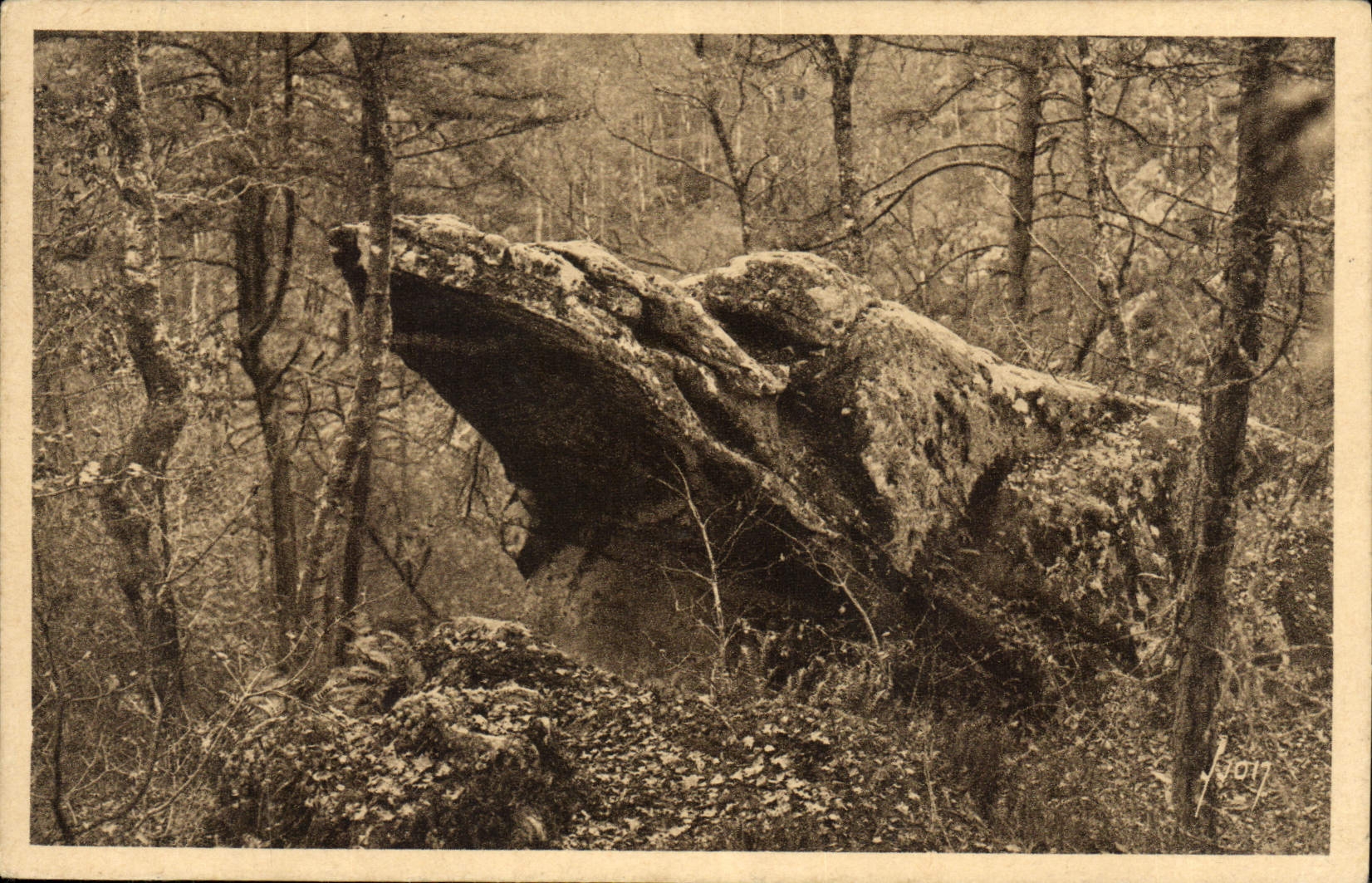 Rock in the Forest — Fontainebleau — Les Éditions d'Art Yv. 15, Paris