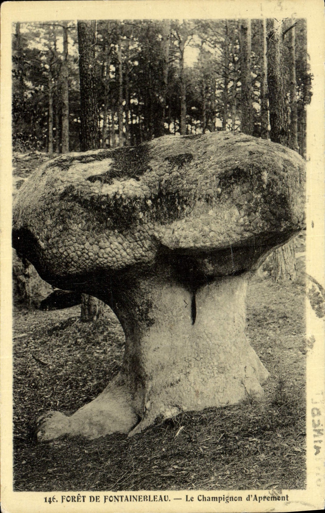 Forêt de Fontainebleau — Der Pilz der Reinigung — Verlag: Palais et Forêt