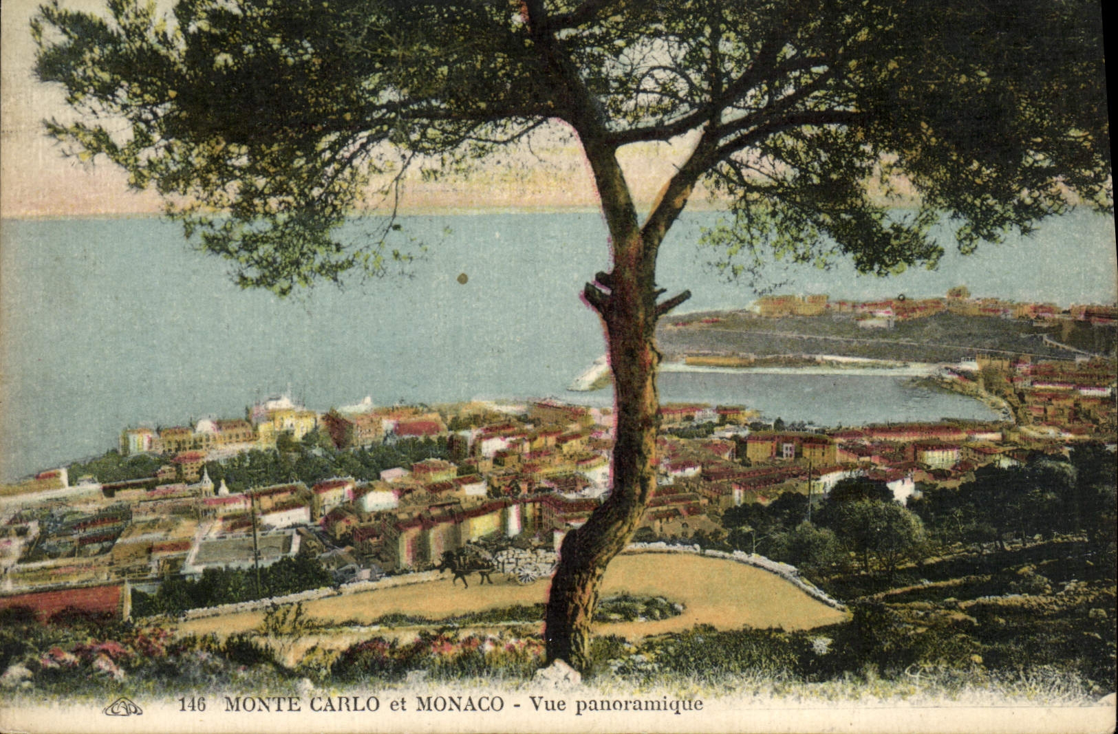 CPA Monte Carlo et Monaco Vue Panoramique