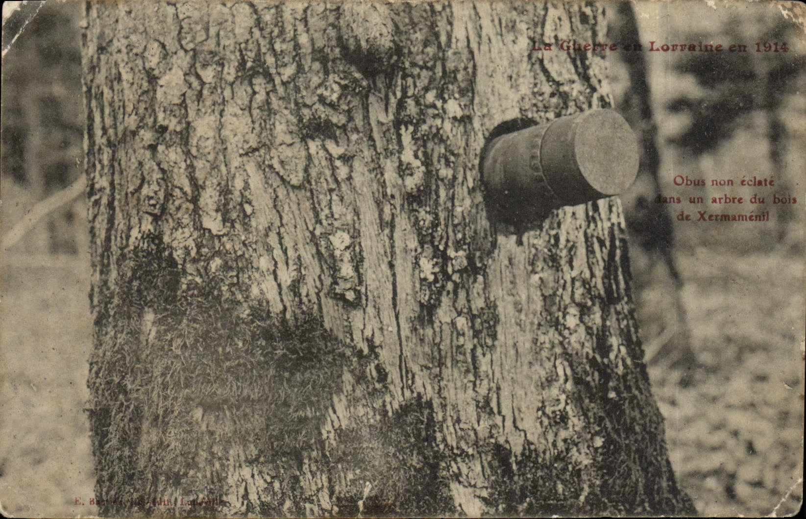 CPA La guerre en Lorraine Oblus non eclate dans un arbre du bois de Xermamenil Militaria