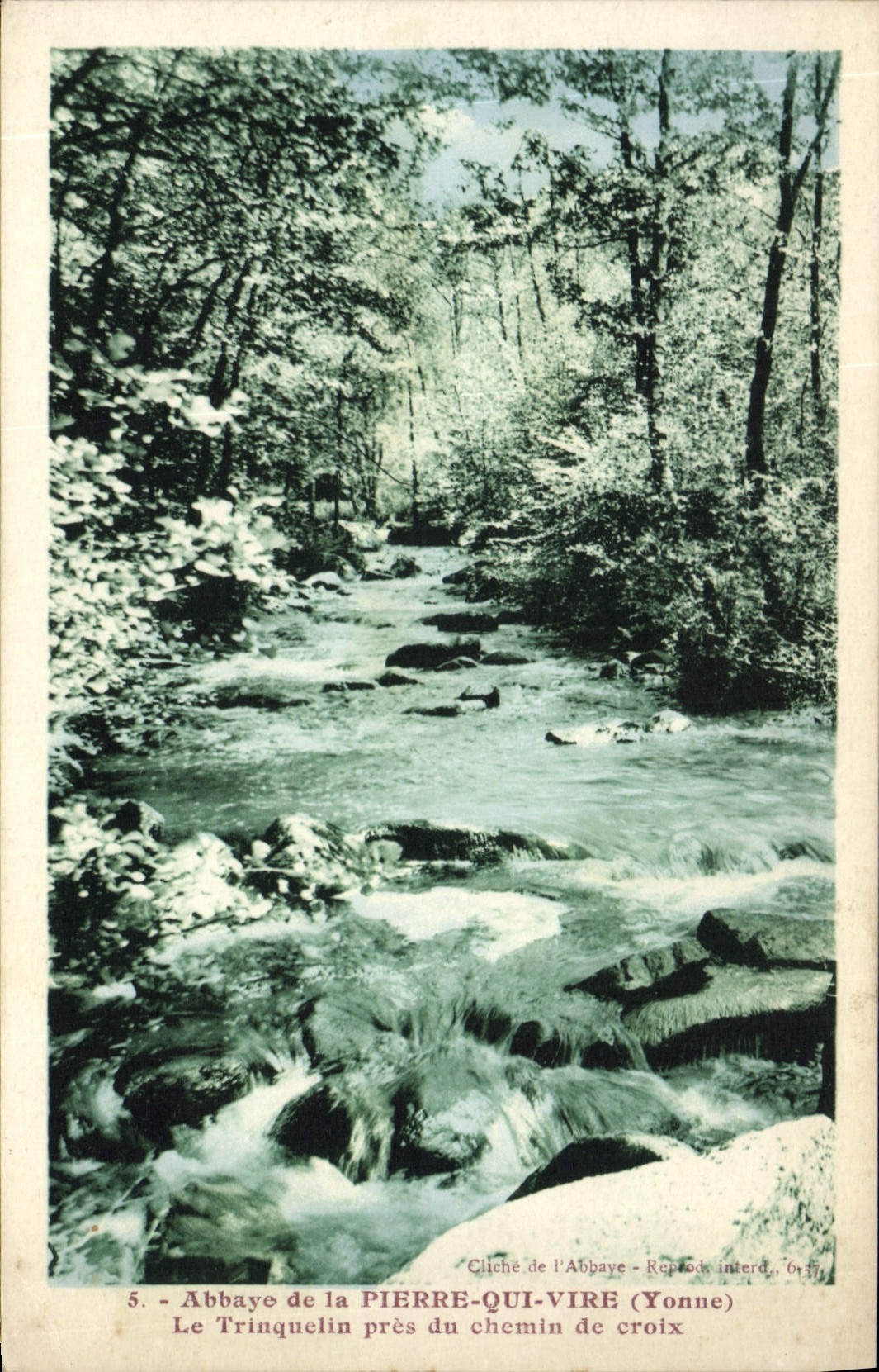 Abbaye de la Pierre-qui-Vire — Le Trinquelin près du chemin de croix — Cliché de l'Abbaye