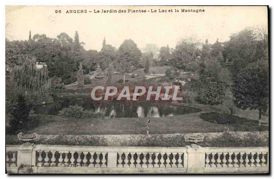 CPA Angers Le Jardin des Plantes Le Lac et la Montagne