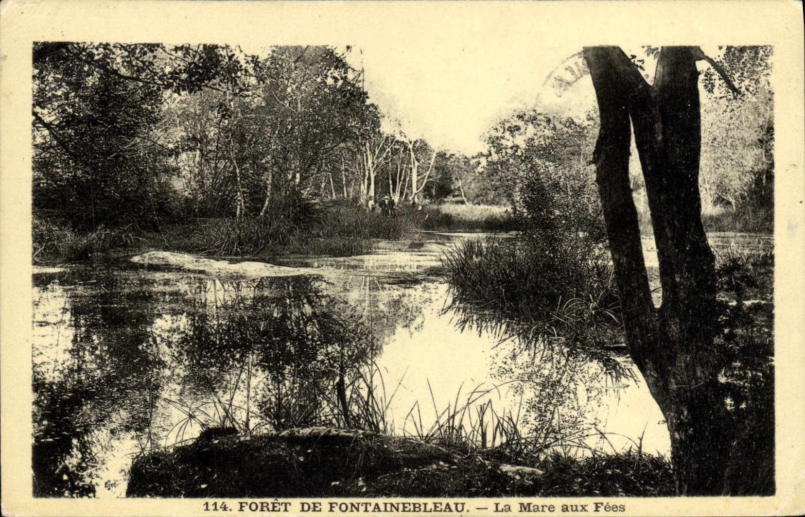 Foresta di Fontainebleau — La Mare aux Fées — n°114