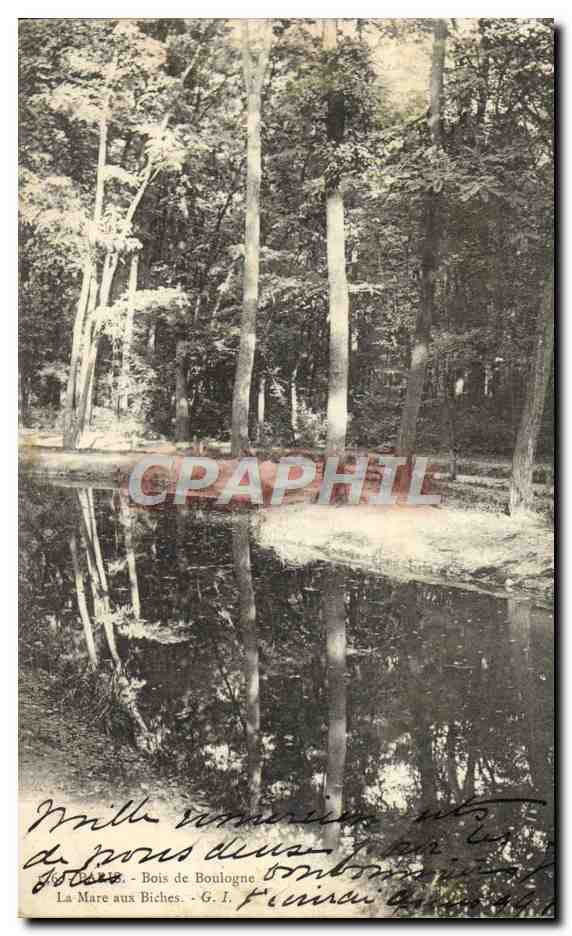 CPA Paris Bois de Boulogne La Mare aux Biches