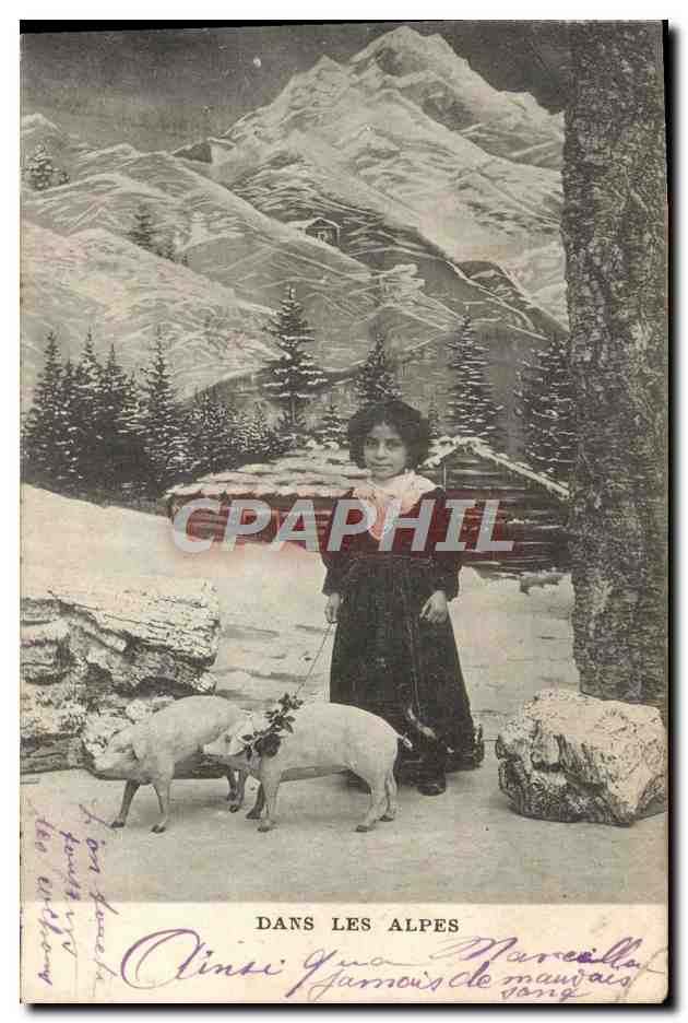 CPA Dans Les Alpes Enfant Cochon Porc