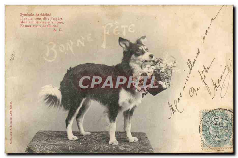 CPA Fantaisie Chien Symbole de fidelite