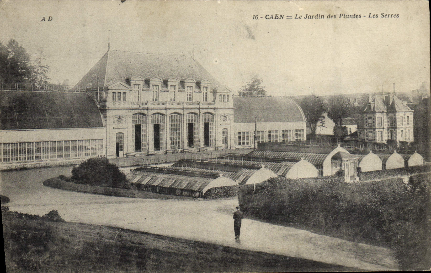 CPA Caen Le Jardin Des Plantes Les Serres