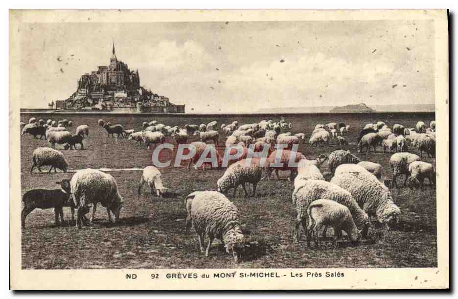 Mont-Saint-Michel — Les Prés Salés — CH des Arts, Straßburg