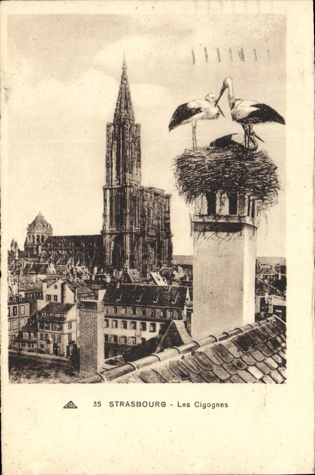 CPA Strasbourg Les Cigognes