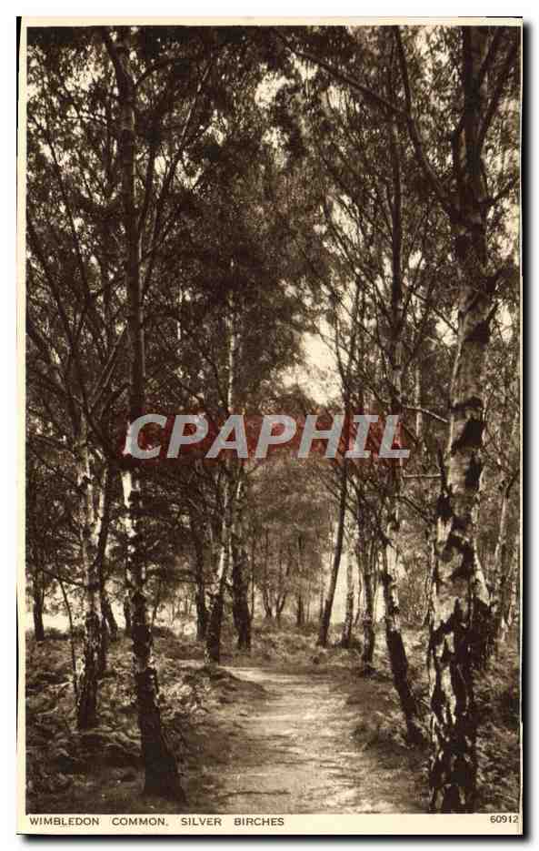 CPA Wimbledon Common Silver Birches