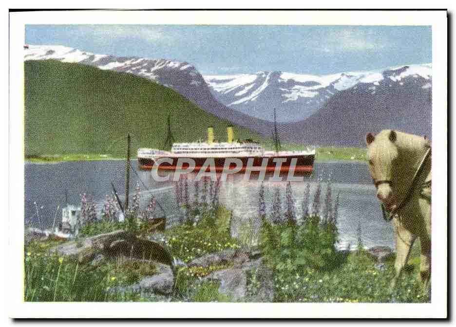 CPM Turistskip i fjordene