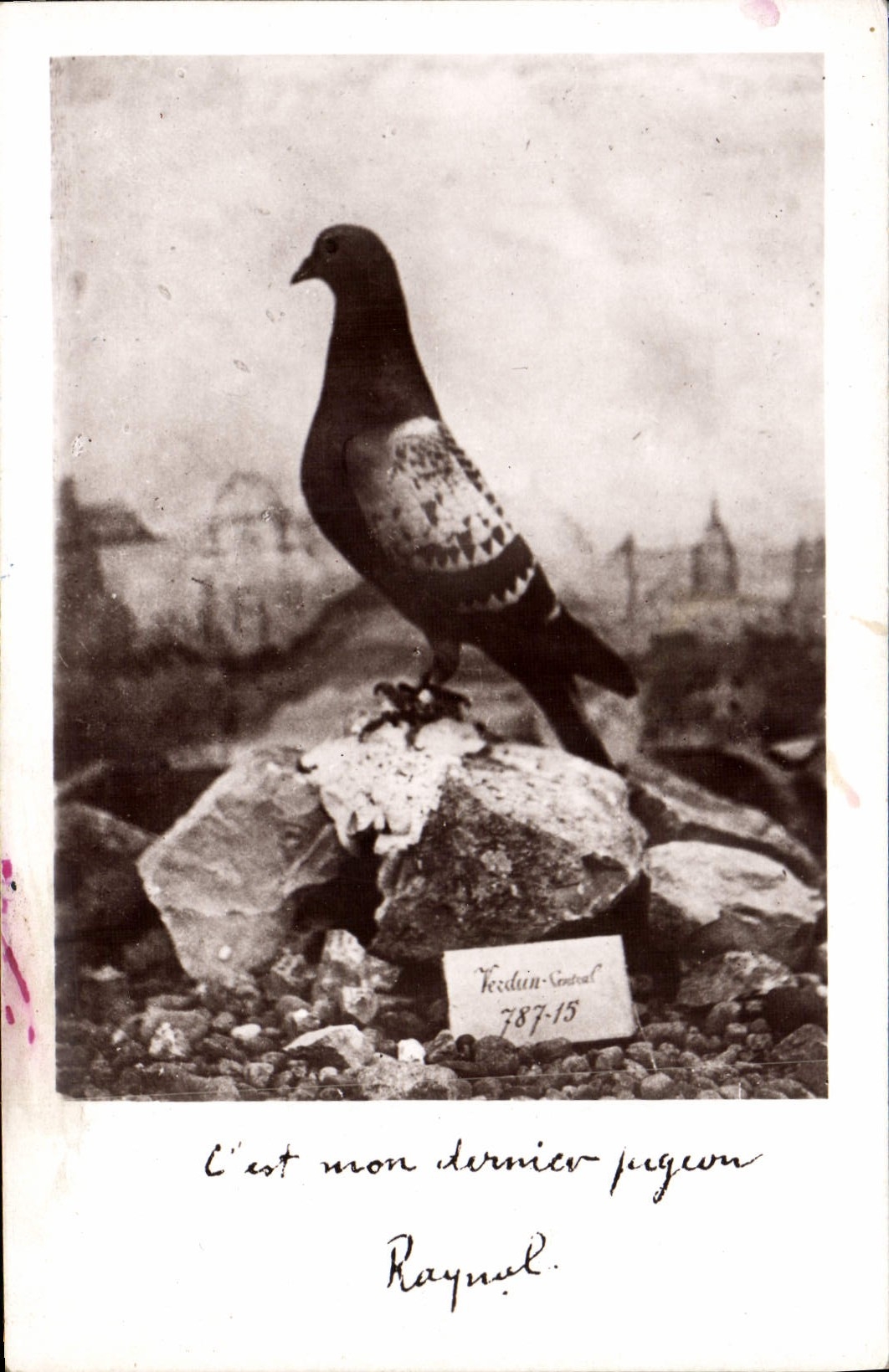 CPA Colombogramme du Commandant Raynal Defenseur du Fort de Vaux Verdun Colombe Militaria 