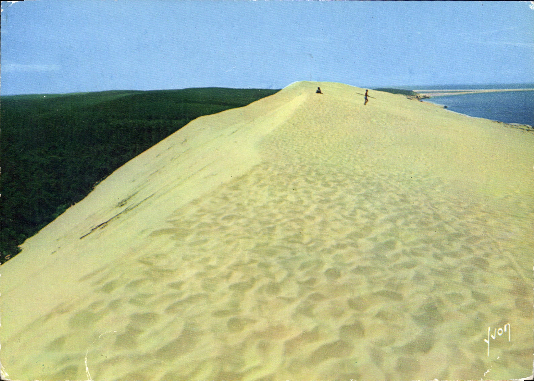 CPM Couleurs Et Lumiere de France Bassin D'Arcachon La grande dune de Pilat