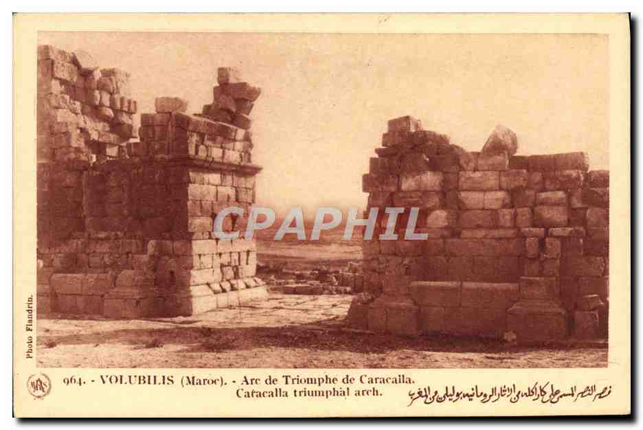 CPA Volubilis Arc de Triomphe de Caracaila 