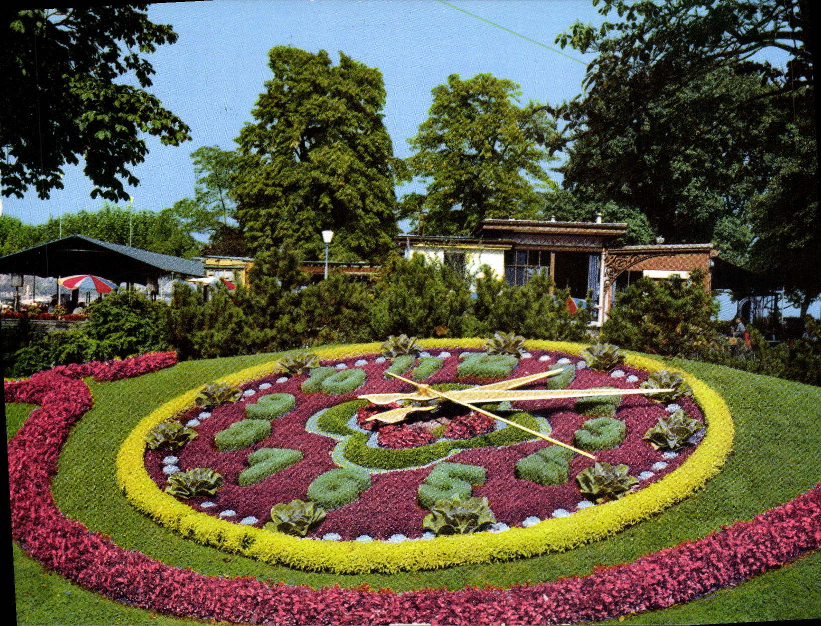 CPM Geneve L'horloge Fleurie et la Potiniere