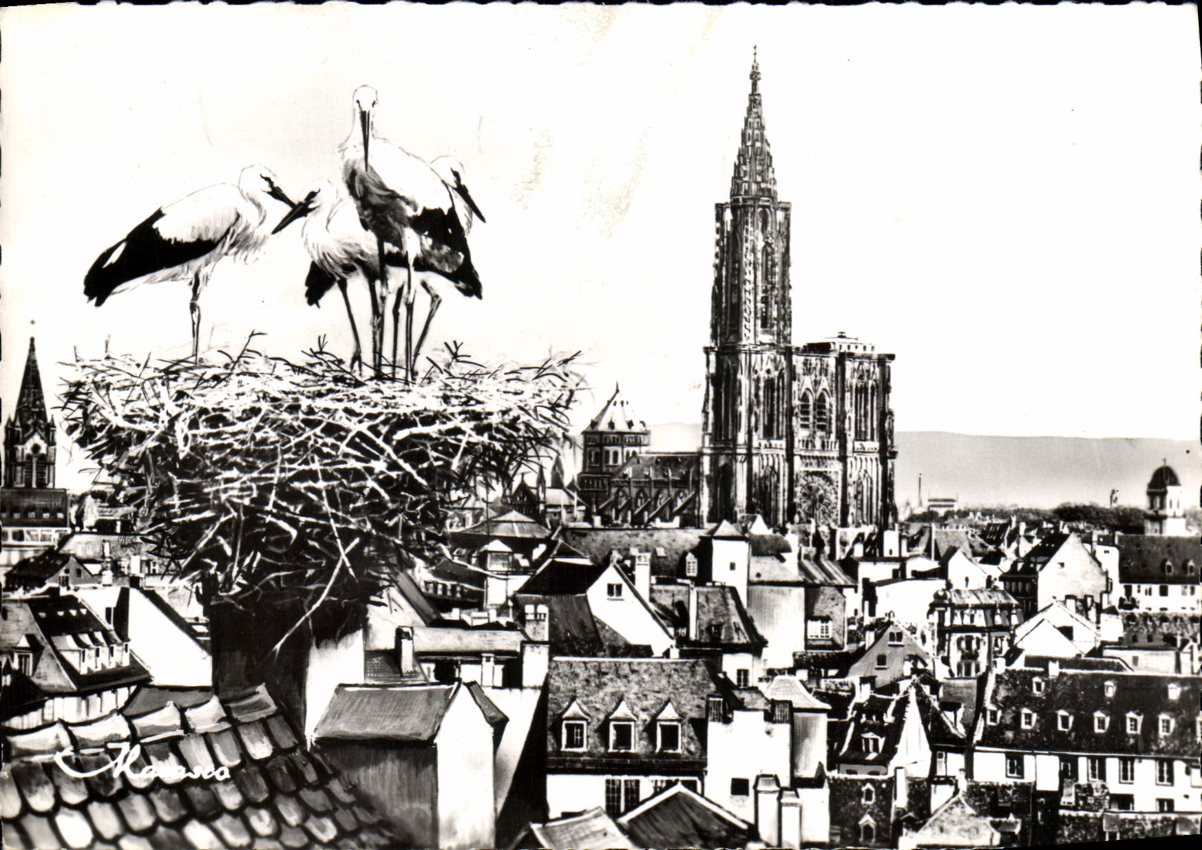 Strasbourg — Vue générale et le Nid de Cigognes — Édit. d'Art Marasco