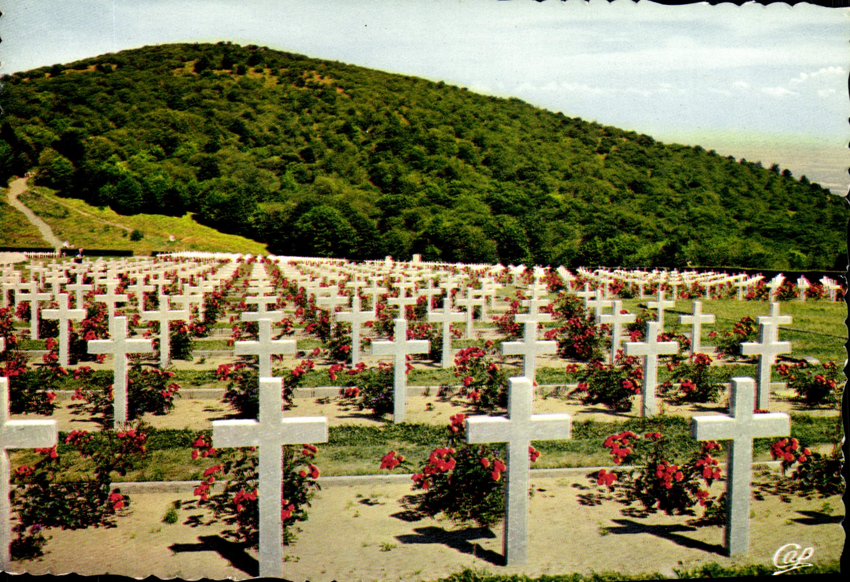 Cimetière du Silberloch — Haut-Rhin — éditeur CAP