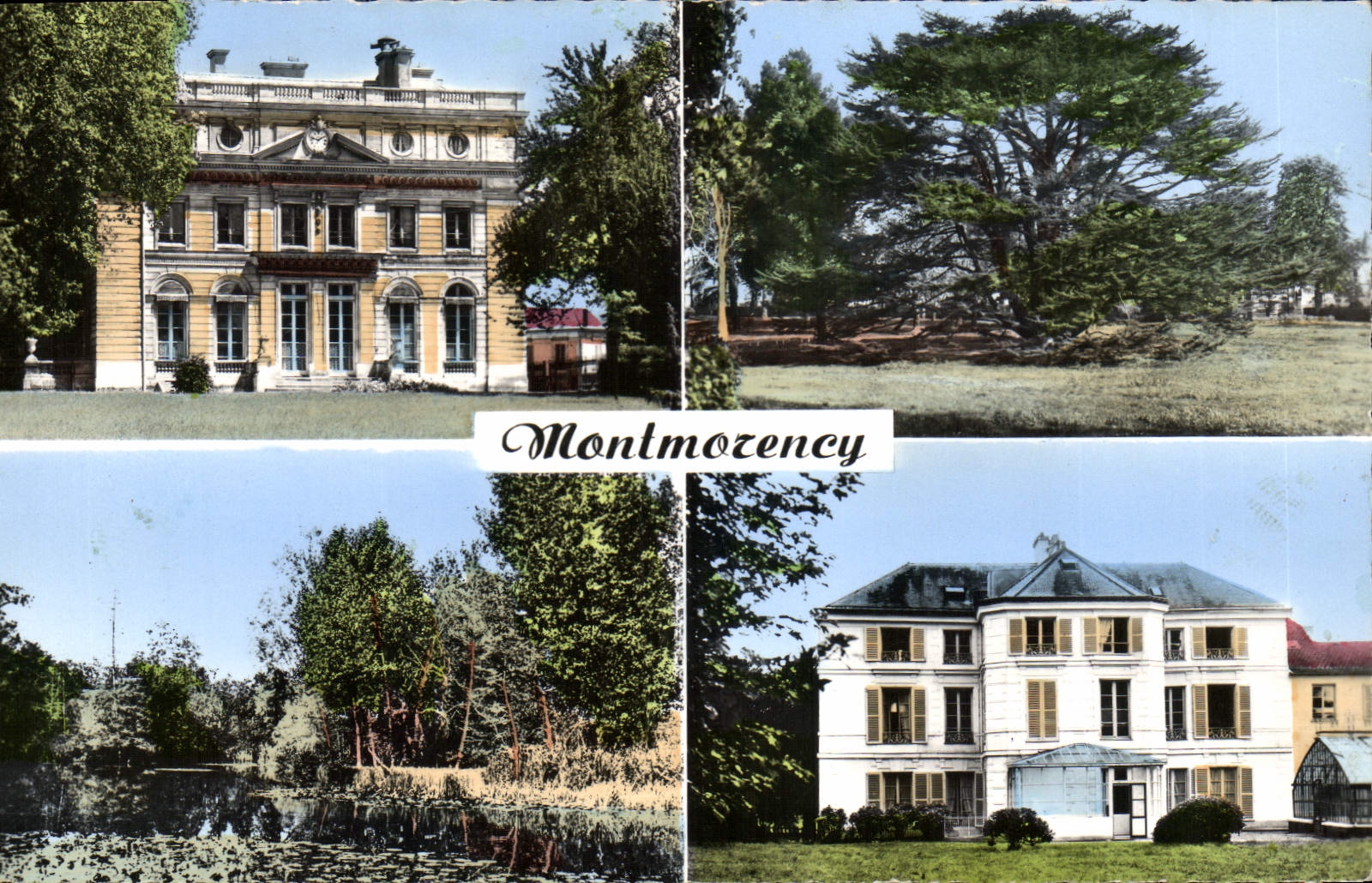 CPM Montmorency L'Hotel De Ville Le Cedre Du Liban