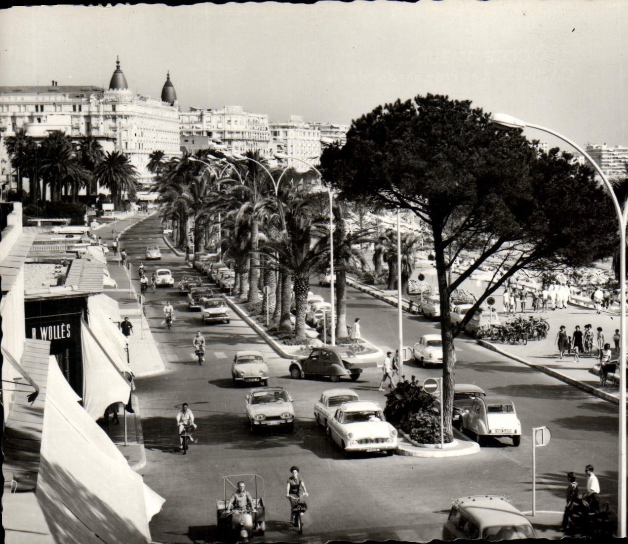 CPM La Cote d'Azur Cannes La Promenade De La Croisette
