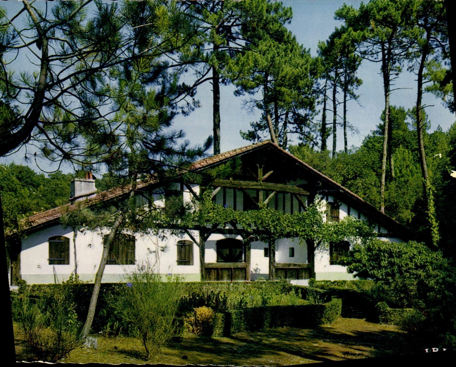 Villa landaise au milieu des pins — Éditions de la Poste, n° 49/178