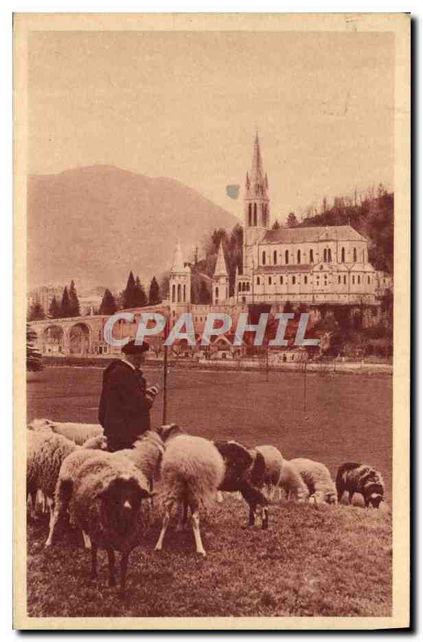 CPA Lourdes La Basilique Berger Moutons