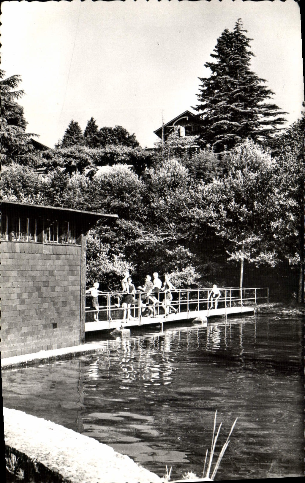 CPM Hermancia La Maison Vue Du Lac Enfants