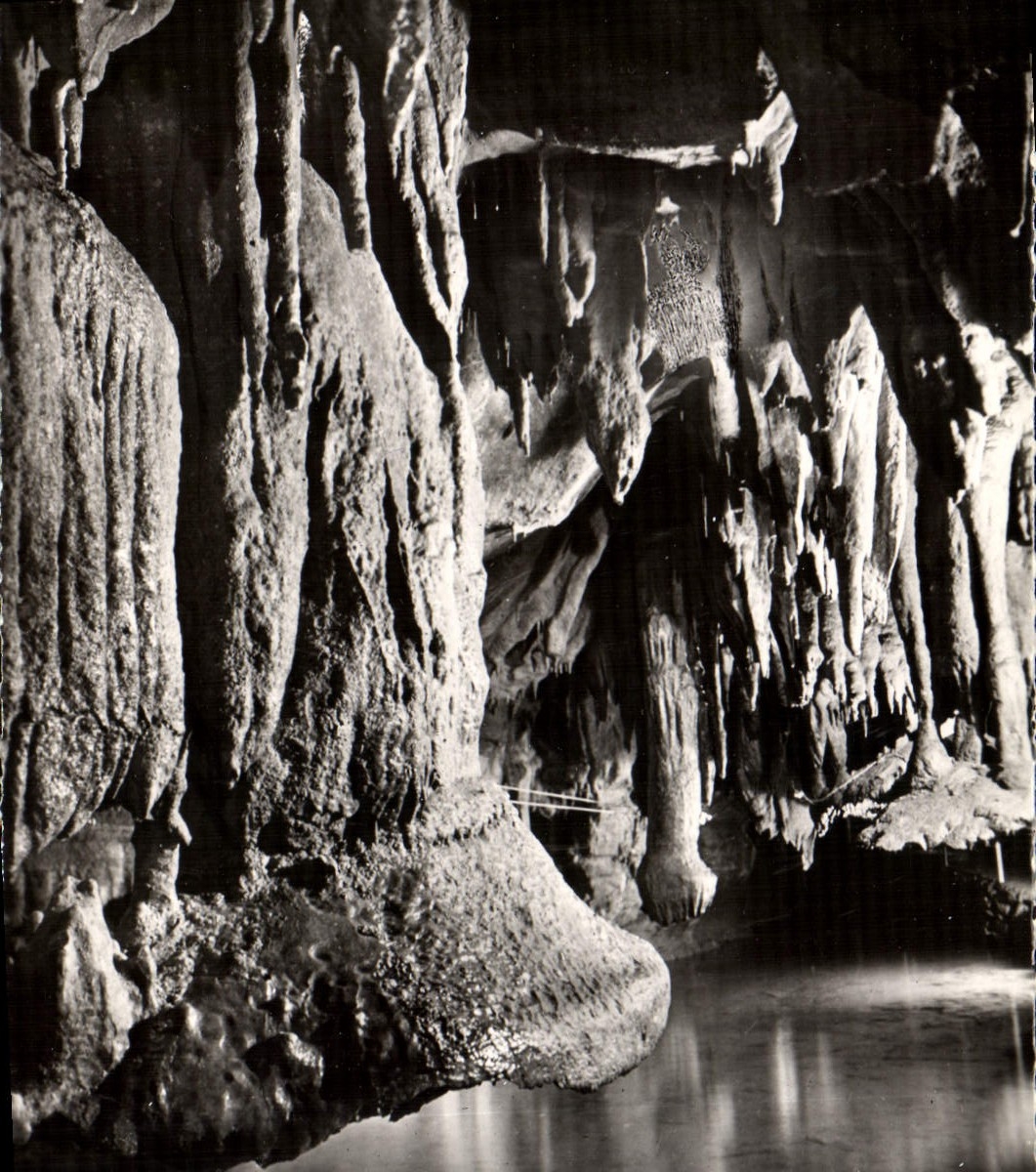 Grottes de Bétharram — Champignons renversés — Éditions Modernes à Limoges