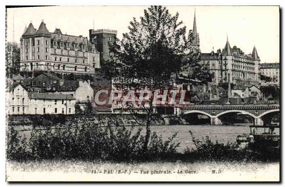CPA Pau Vue Generale Le Gave