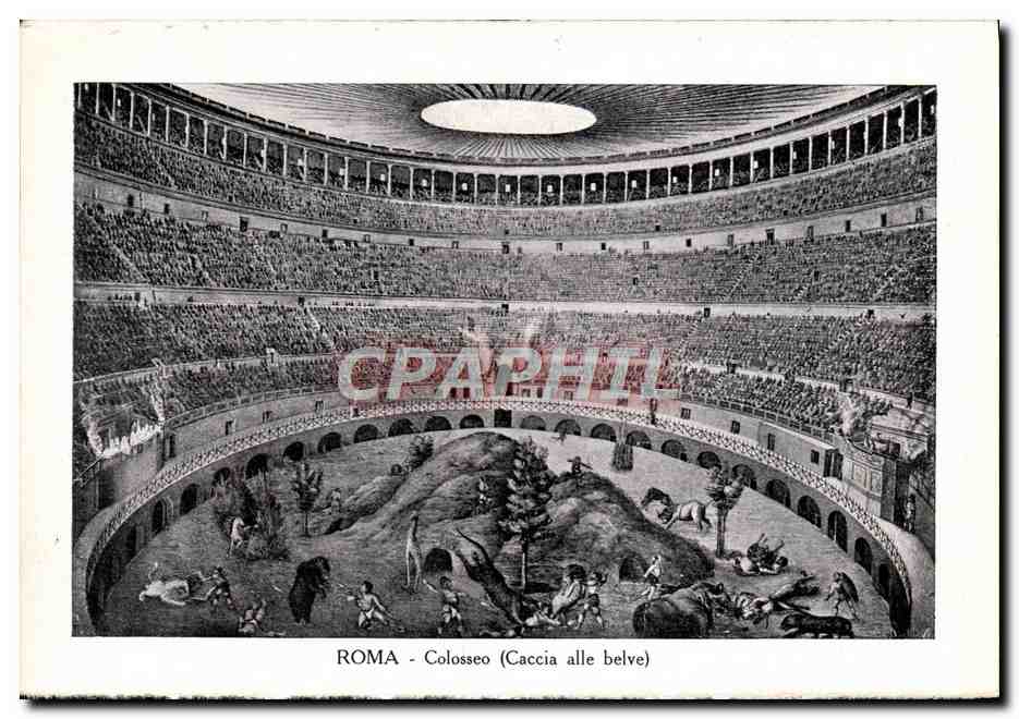 CPA Roma Colosseo Giraffe Lion Ours Jaguar