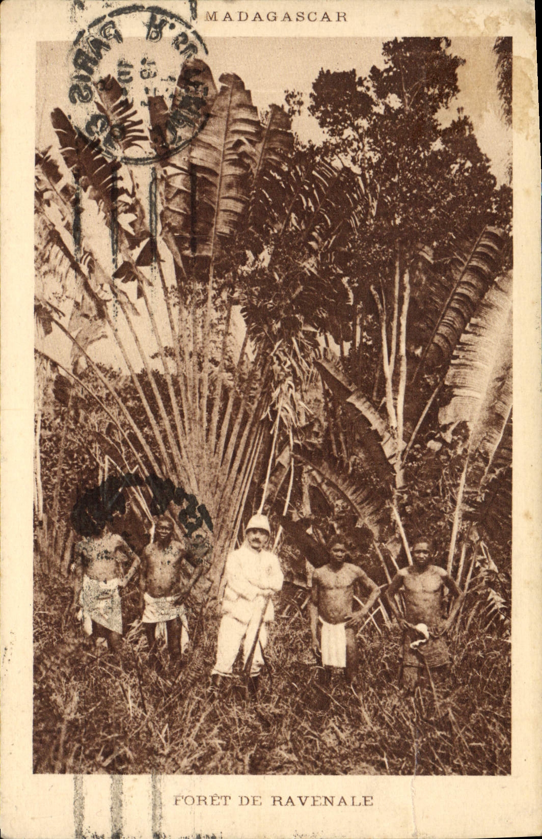 CPA Madagascar Foret De Ravenale