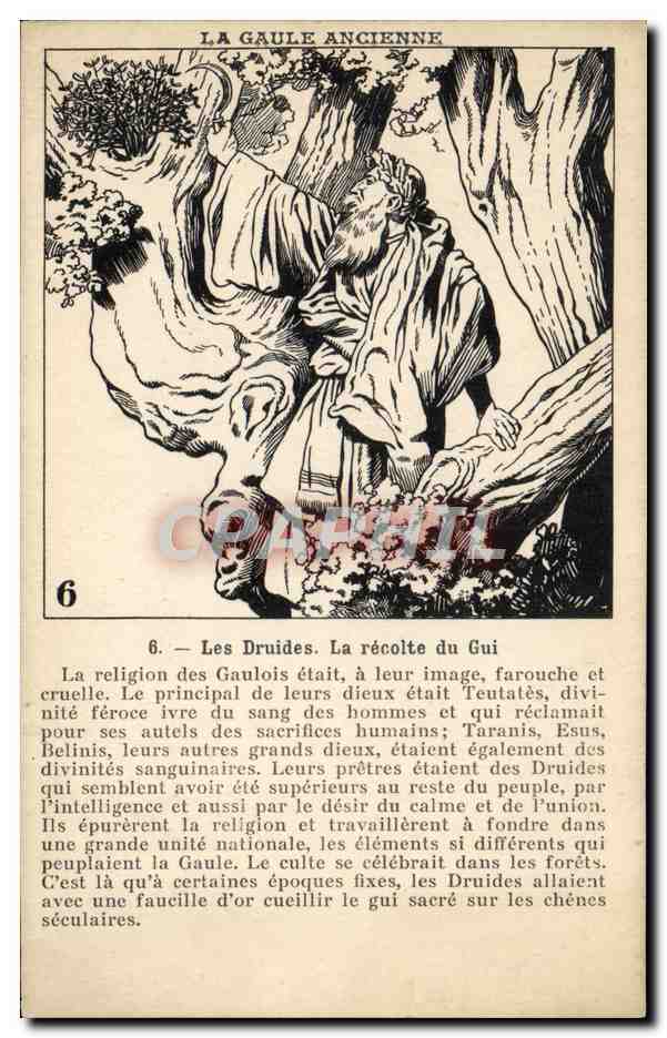 CPA La Gaule Ancienne Les druides La recole de Gui