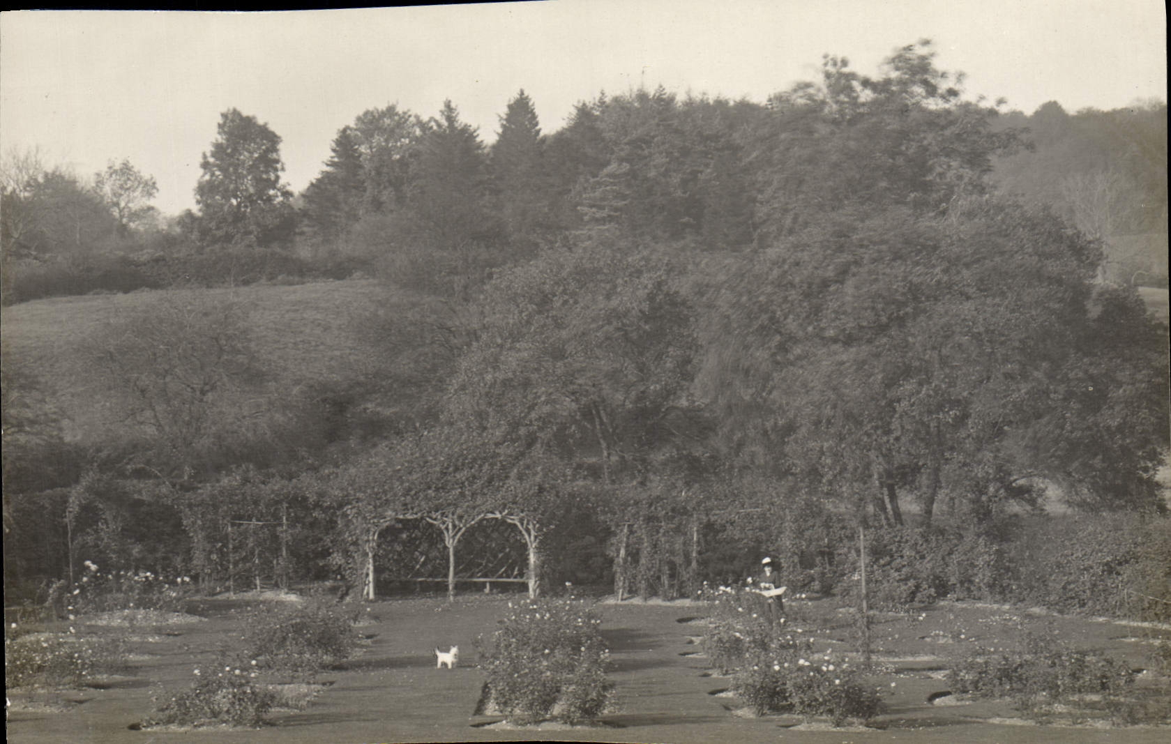 Photo Wraylands
