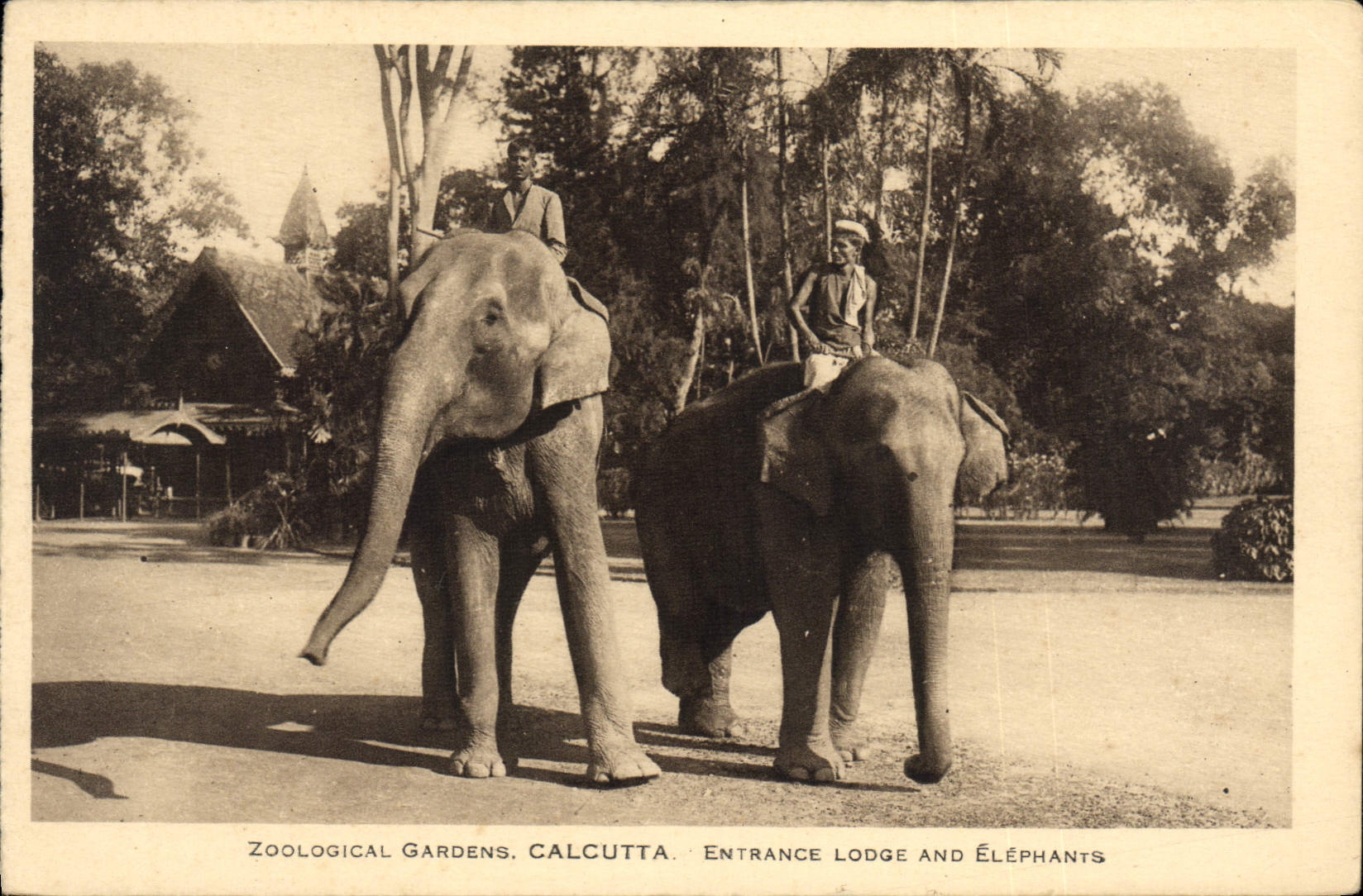 CPA Zoological Gardens Calcutta Entrance Lodge and Elephants Zoo