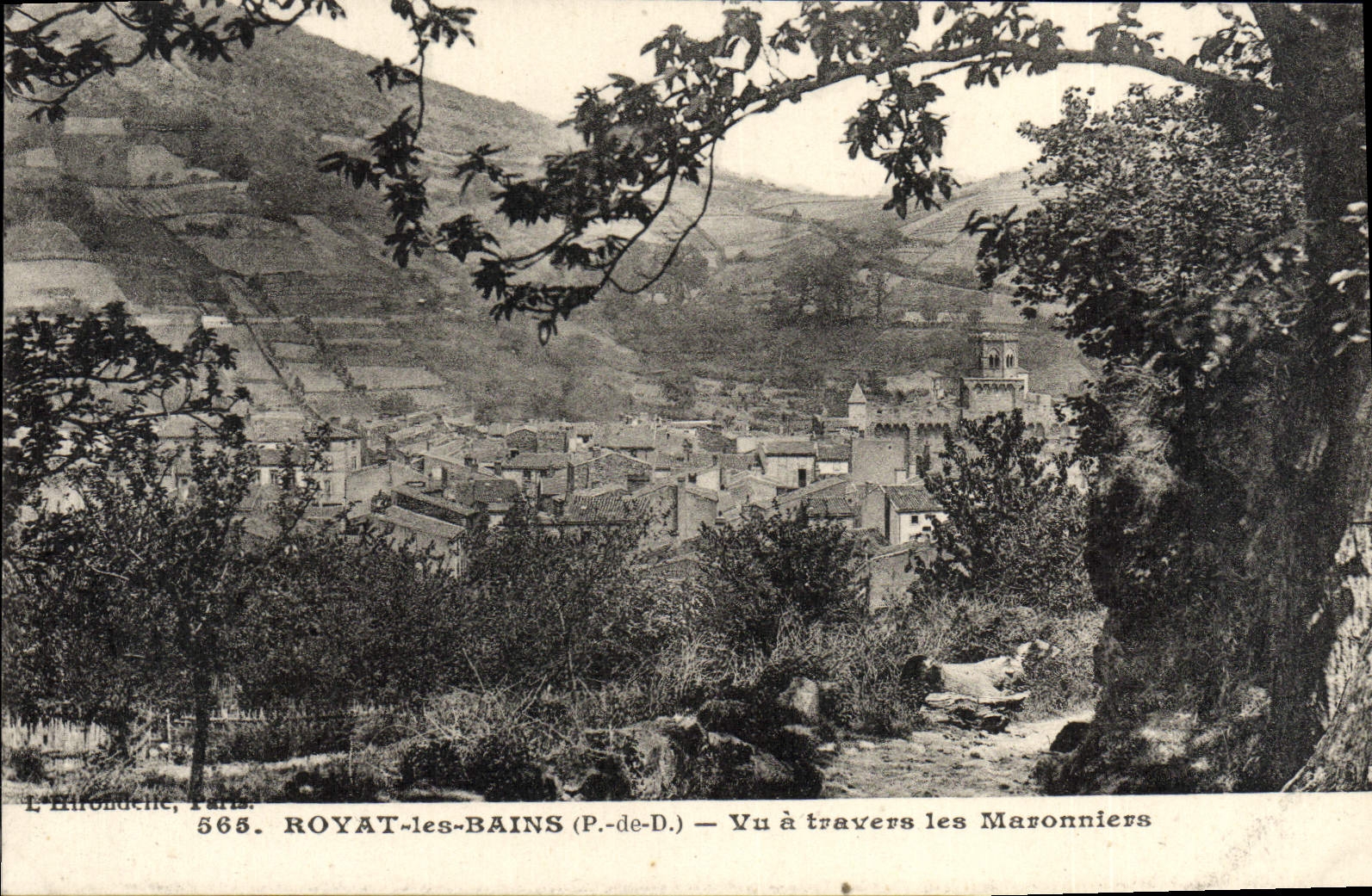CPA Royat Les Bains Vu a travers les Maronniers