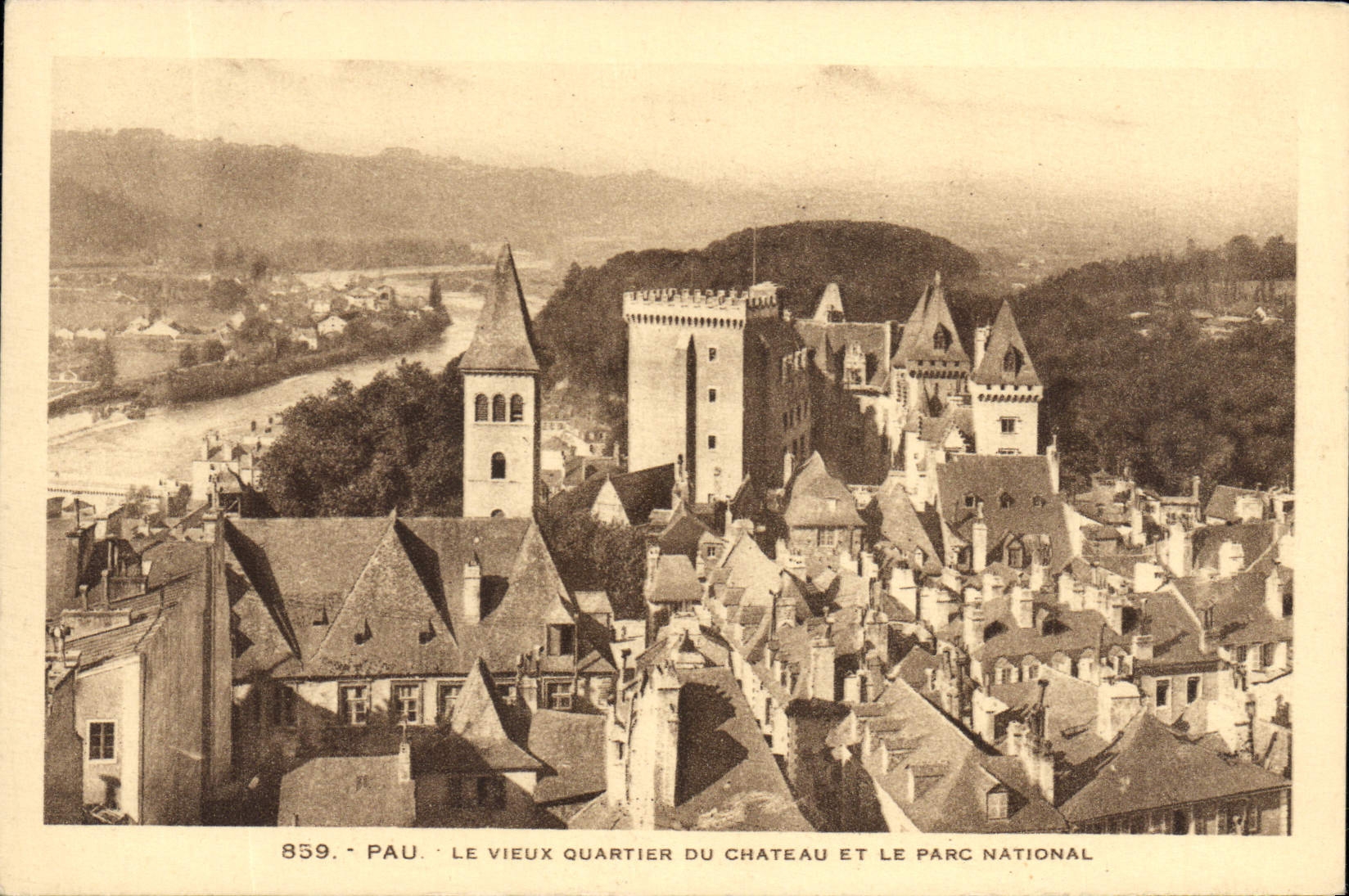 CPA Pau Le Vieux Quartier du Chateau et le Parc National