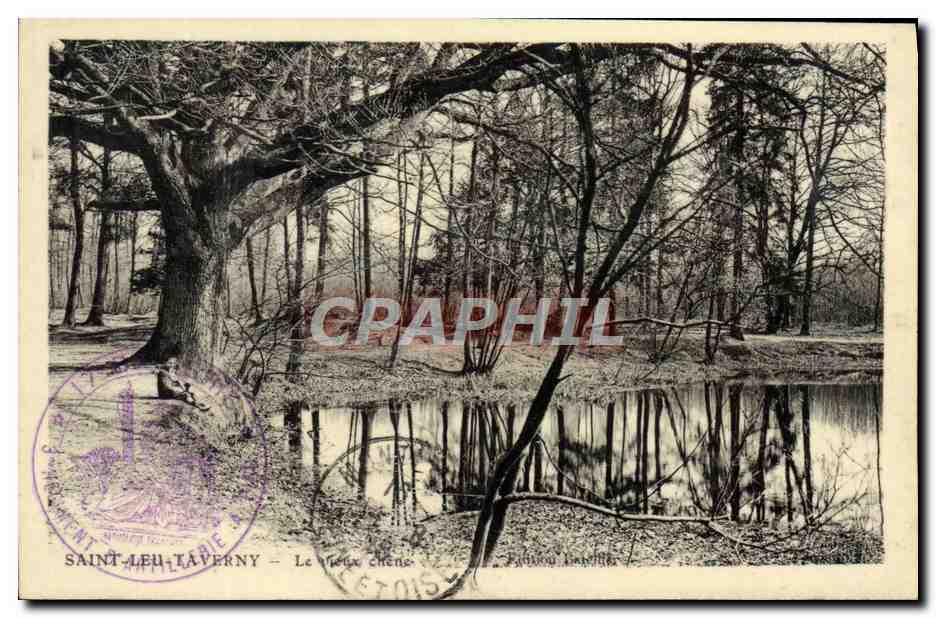 CPA Saint Leu Taverny Le Vieux chene