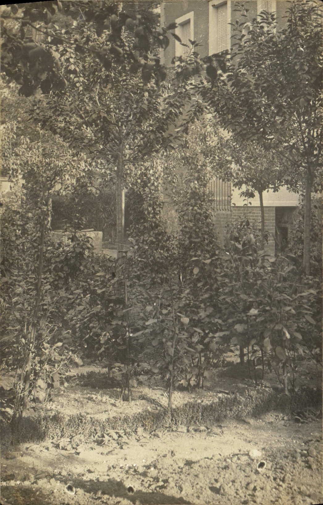CARTE PHOTO Jardin 