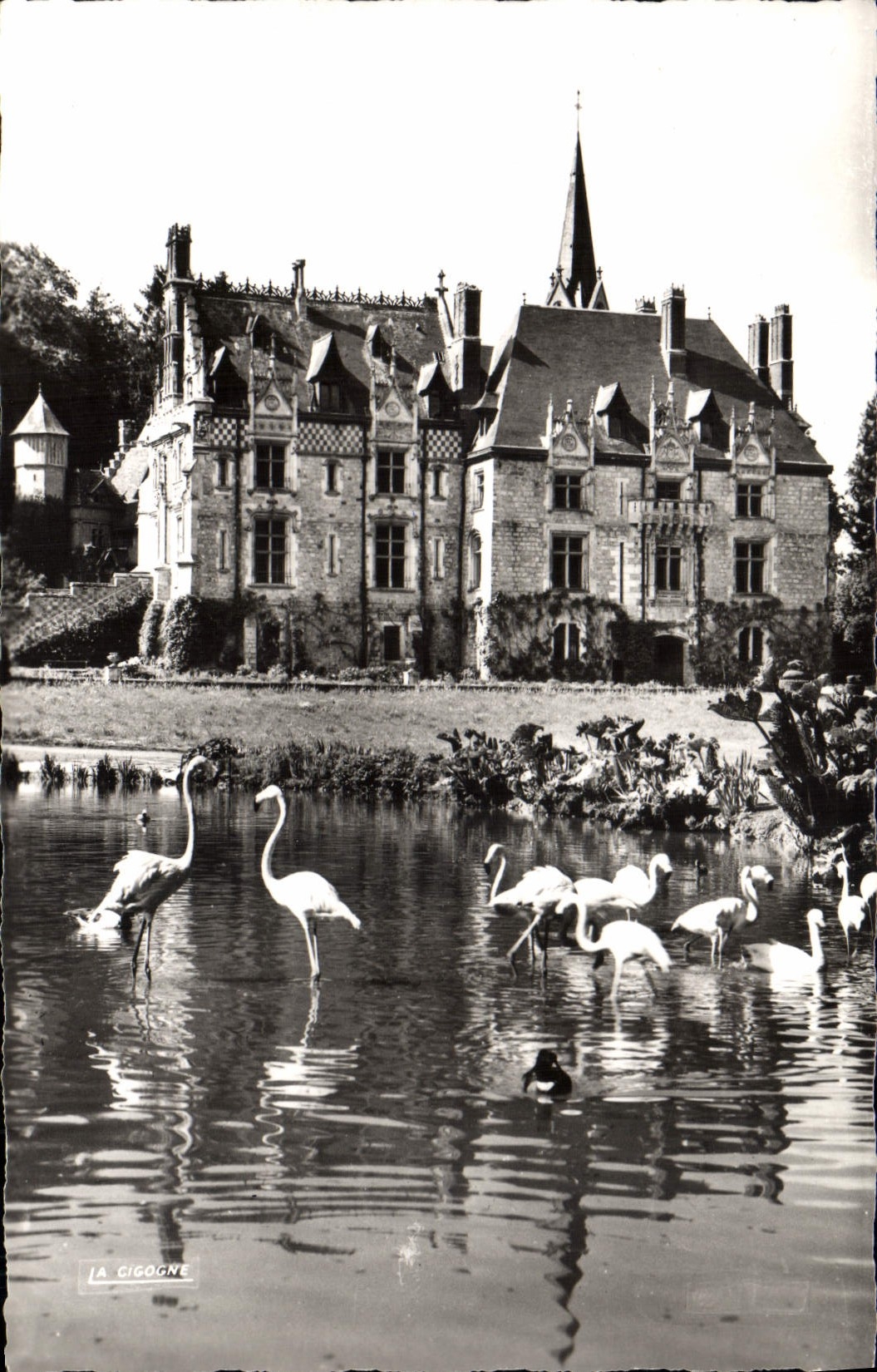 CPA Parc Zoologique De Cleres Le Chateau Et Les Flamants Roses Zoo