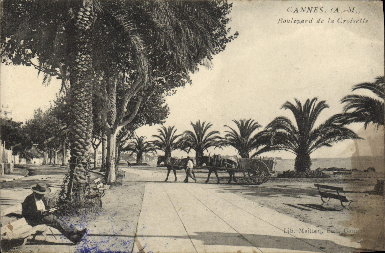 CPA Cannes Boulevard De La Croisette Attelage (animee) Cheval