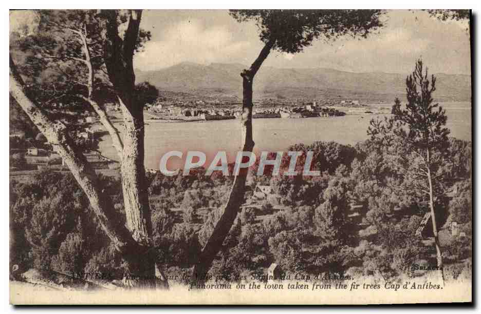 Antibes — Panorama sur la ville prise des Sapins du Cap d'Antibes — Salsens