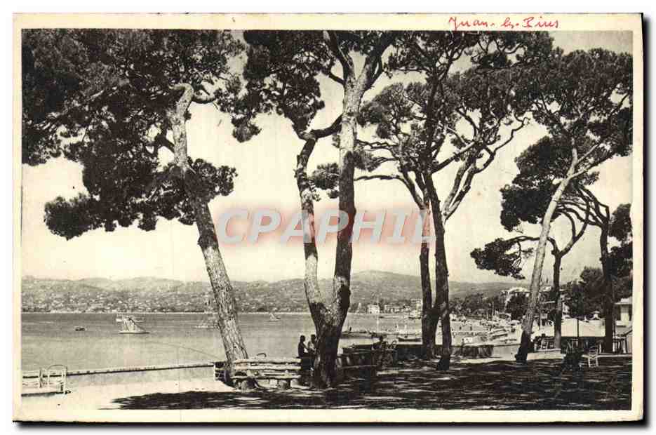 CPA Juan Les Pins Vue Sur Le Golfe Juan Depuis La Pinede