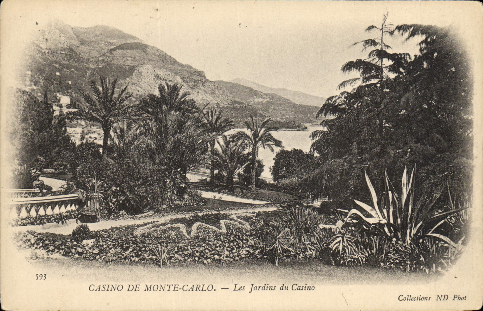 CPA Casino De Monte Carlo Les Jardins Du Casino