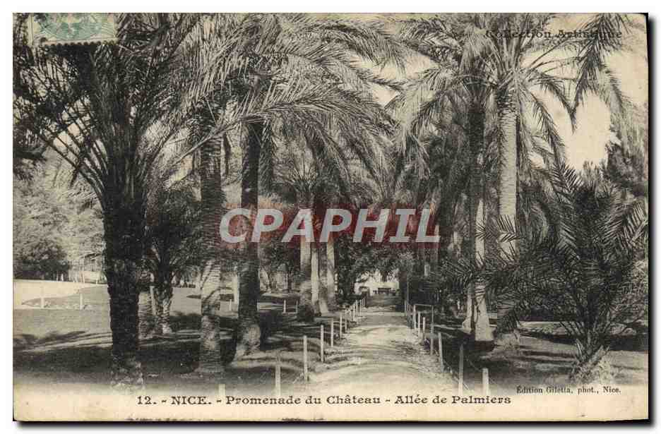 CPA Nice Promenade Du Chateau Allee De Palmiers