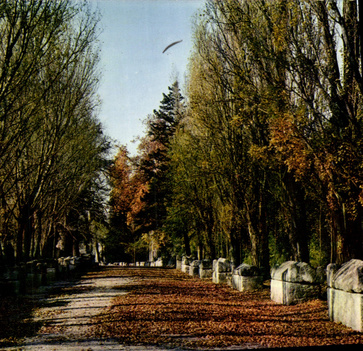 Les Alyscamps - L'allée des Sarcophages — Nécropole Gallo-Romaine — Éditeur G. Gandini, Marseille