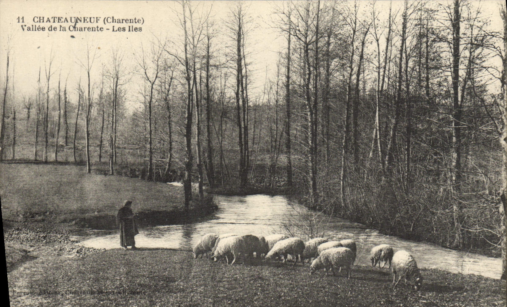 CPA Chateauneuf Vallee De La Charente Les Iles Bergere Moutons