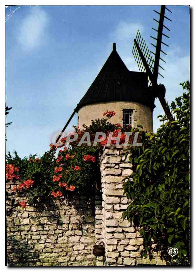 CPM Ile De Re Moulin Du Morinand