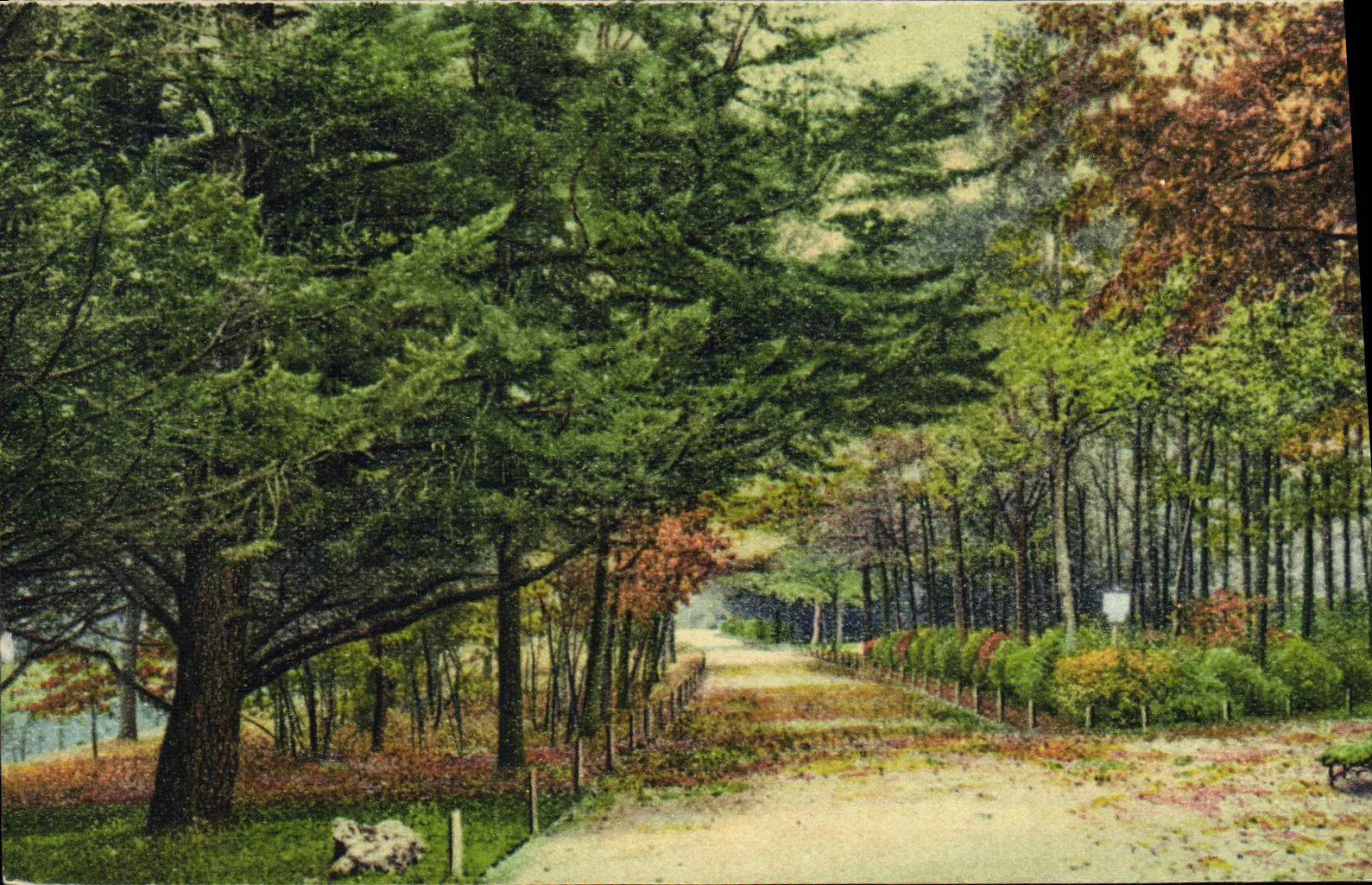 Chemin forestier en automne — R. Berghvin, éditeur, 60, rue des Merciers - La Rochelle