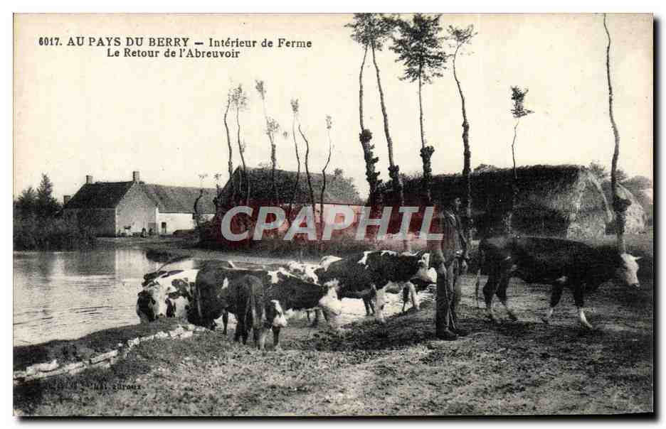 AU PAYS DU BERRY — Intérieur de Ferme — Le Retour de l'Abreuvoir — Éditeur : LOACHTIAN