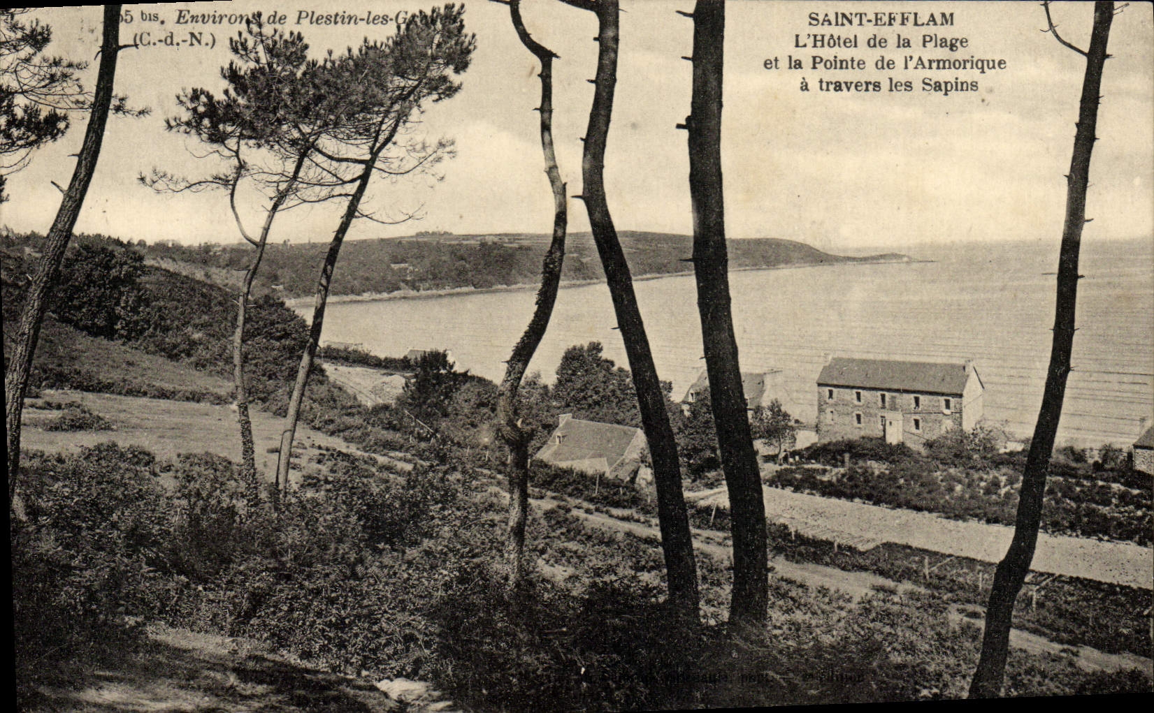 Saint-Efflam — L'Hôtel de la Plage et la Pointe de l'Armorique à travers les Sapins — (C.d.-N.)